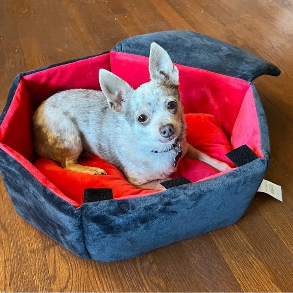coffin dog pet bed